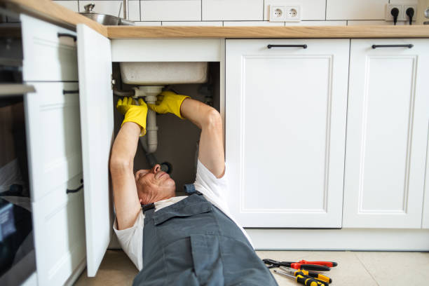 Best Local Plumber Services  in Bamberg, SC