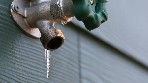 Best Leak Detection Services  in Bamberg, SC